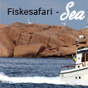 Fiskesafari / Båttaxi